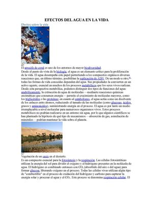 EFECTOS DEL AGUA EN EL HUMANO