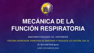 Mecánica de la función respiratoria
