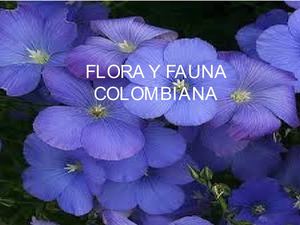 Flora y fauna colombiana