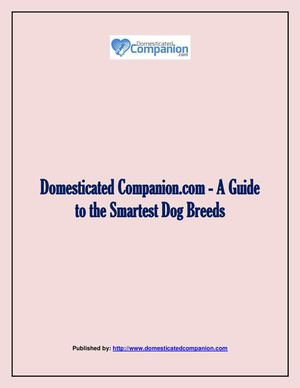Domesticated Companion.com - A Guide to the Smartest Dog Breeds