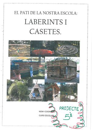 Projecte del pati de 5è