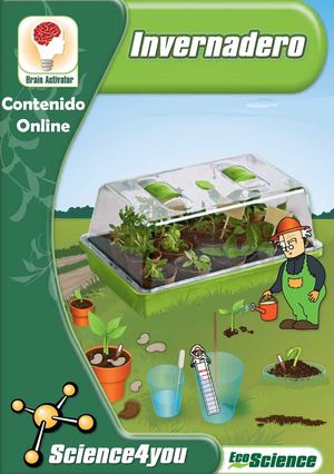 Contenido Online Invernadero