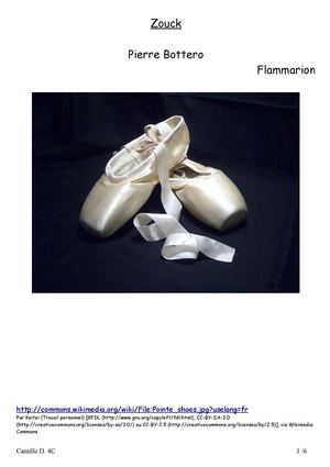 Journal de lecture : Camille D. - Zouck, Bottero