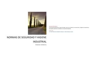 NORMAS  DE SEGURIDAD E HIGIENE INDUSTRIAL 