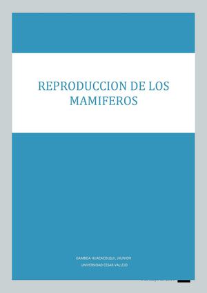 Los Mamiferos