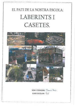 Projecte del pati de 6è