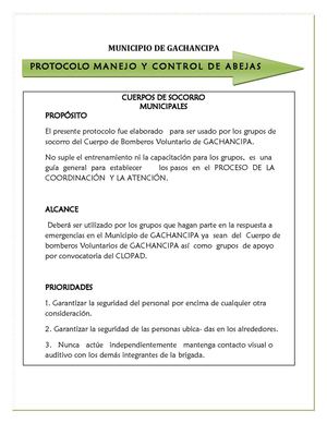 Protocolo 02