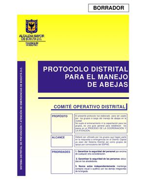 Protocolo  03