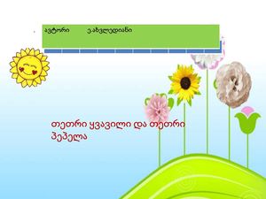 თეთრი პეპელა და თეთრი ყვავილი