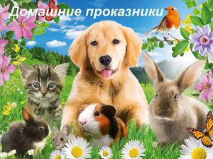 Наш домашний зоопарк