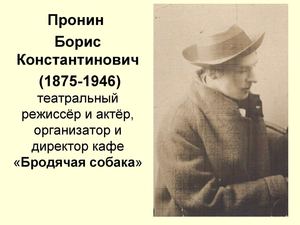 бродячая собака