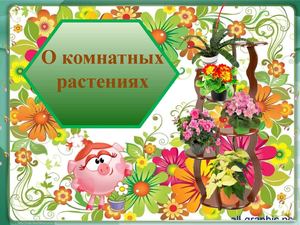 Презентация "Комнатные растения"