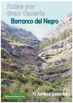 Rutas por Gran Canaria: El Barranco del Negro