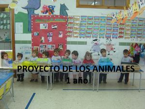 Proyecto animales