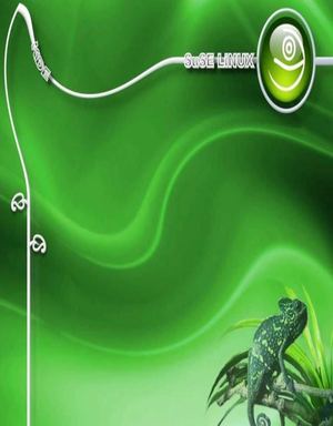 manual suse