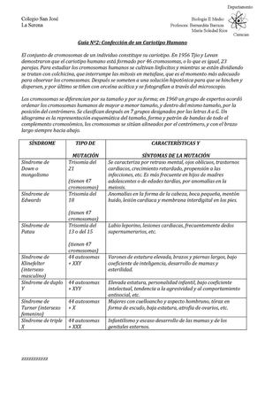 Guia Cariotipo 