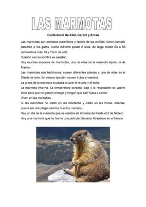 marmotas