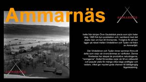Ammarnäs