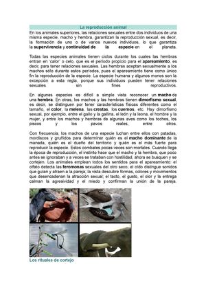 La reproducción animal