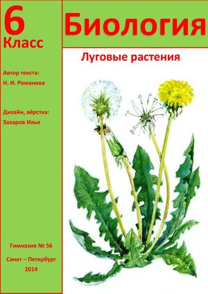 Книга для чтения 