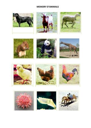 Memory d'animals