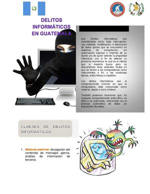 DELITOS INFORMATICOS