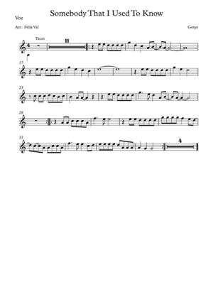 Somebody That I Used to Know - Voice