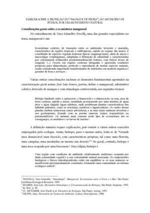 Parecer sobre a protecao do Manguezal de Pedra - Buzios_Soffiati