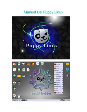 Manual De Puppy Linux