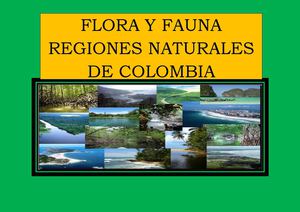 REGIONES NATURALES DE COLOMBIA