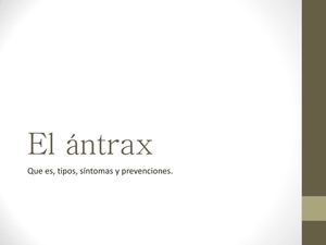 El ántrax