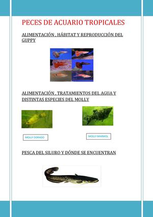 PECES TROPICALESAlimentación del guppy
