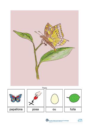 Conte de la papallona