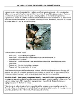 La conduction & la transmission du message nerveux