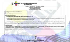 FORMATO PROGRAMA DE AUDITORIAS INTERNAS