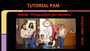 Tutorial PAM. Crear series desde la Perspectiva del Alumno
