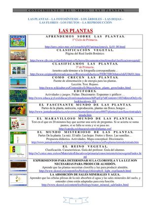 LAS PLANTAS 