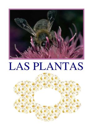 LAS PLANTAS 