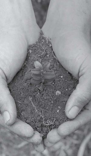 CRESCIMENTO POR MEIO DA OBEDIÊNCIA