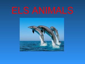 ELS ANIMALS