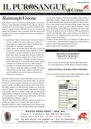 ILPUROSANGUE_diCorsa_15-2014