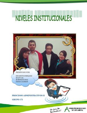 NIVELES INSTITUCIONALES