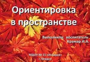 ориентировка