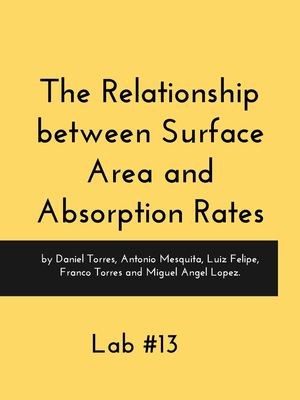 The Relationship between Surface Area and Absorption Rates 