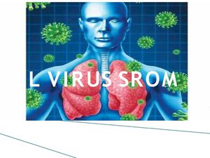 VIRUS SROM