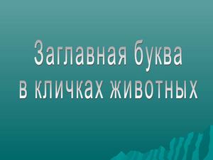 Заглавная буква в кличках животных
