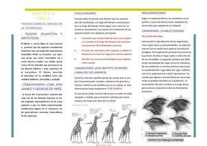 teoria de la evolucion 2