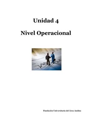 Niveles Operacionales en la Empresa