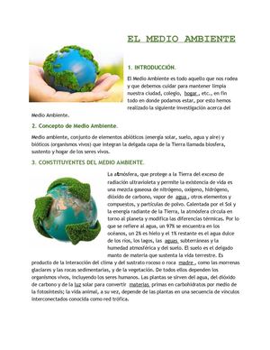 naturaleza y medio ambiente 