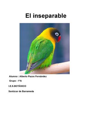 El inseparable (Alberto Pazos)